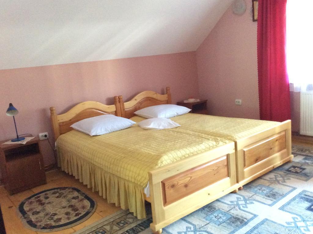 Casa Andrada & Ilinca Hotel Gura Humorului Buitenkant foto