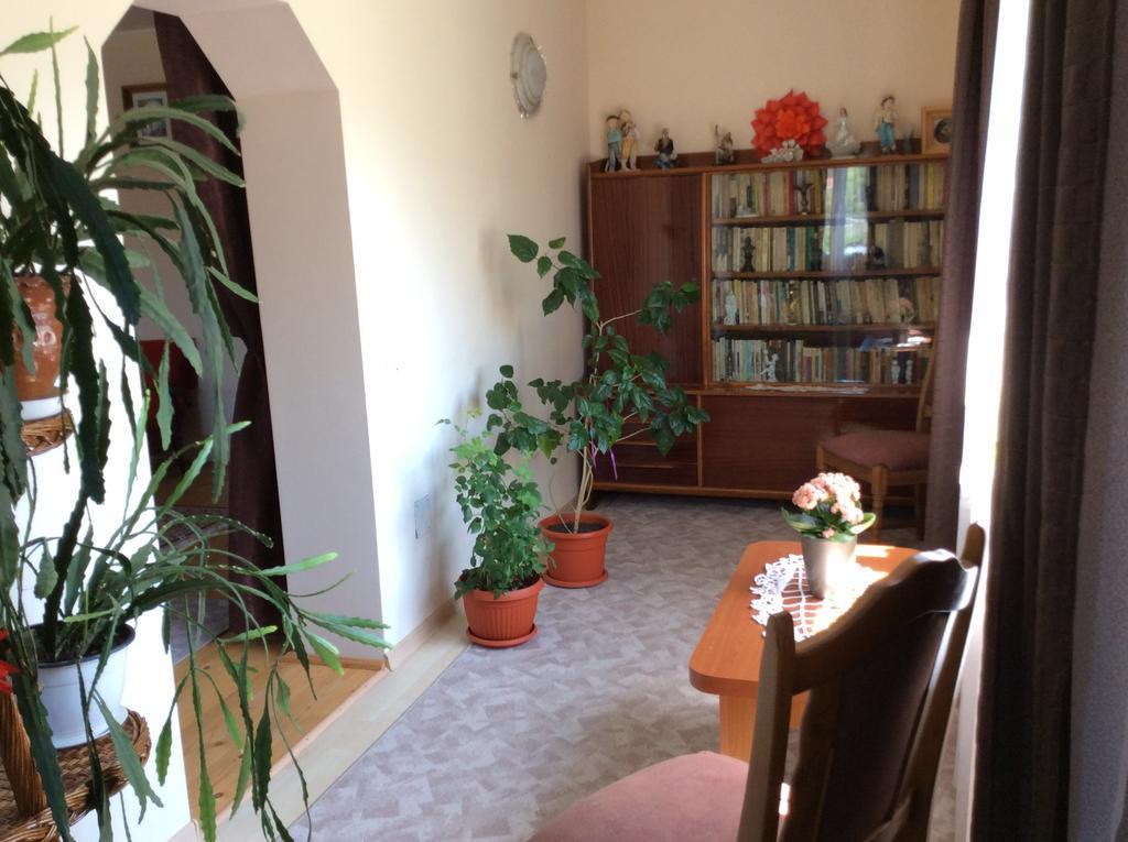 Casa Andrada & Ilinca Hotel Gura Humorului Buitenkant foto