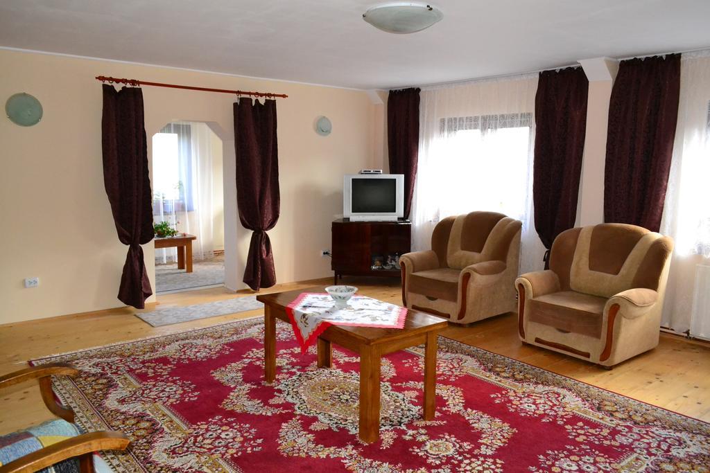 Casa Andrada & Ilinca Hotel Gura Humorului Buitenkant foto