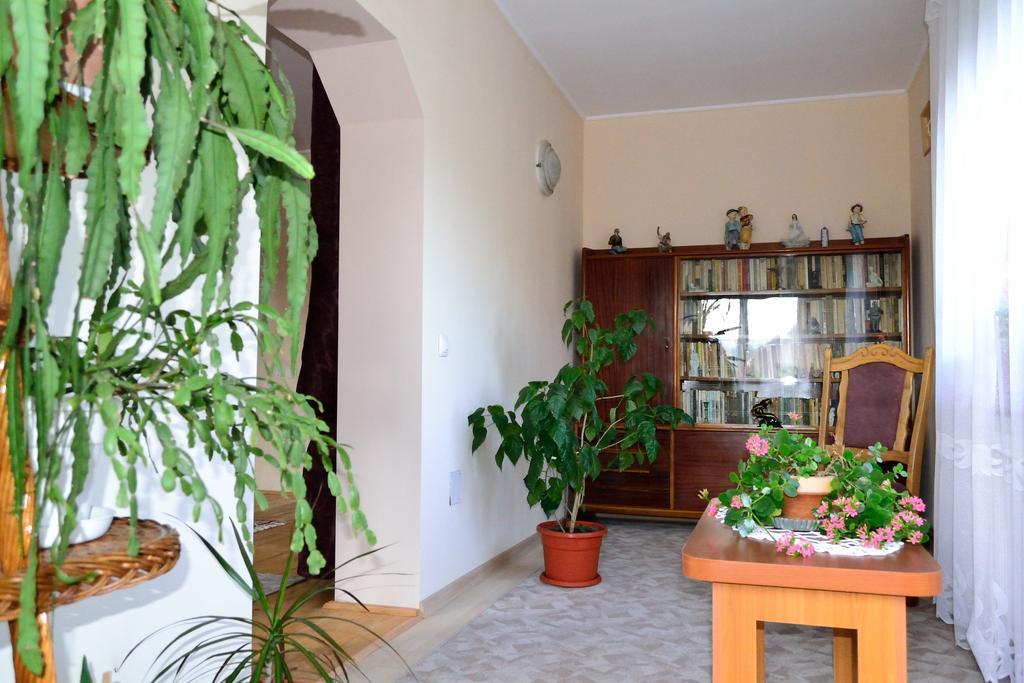 Casa Andrada & Ilinca Hotel Gura Humorului Buitenkant foto