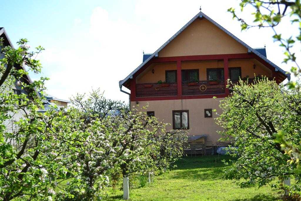 Casa Andrada & Ilinca Hotel Gura Humorului Buitenkant foto